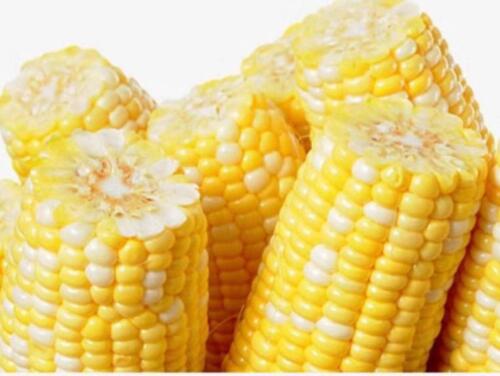 Corn Cob