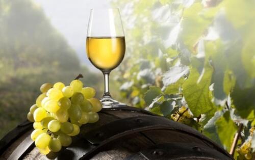 Pinot Grigio Glass