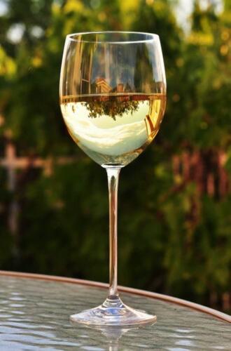 Chardonnay Glass